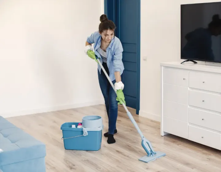 Femme de ménage Job